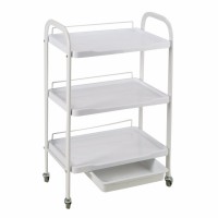 DT-266A simple portable ABS plastic multifunctional white beauty salon universal wheels hand trolley