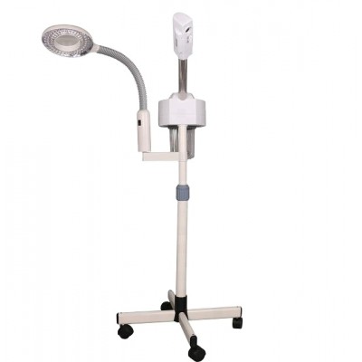 DT-318M professional beauty salon equipment magnifying lamp ionic nano  facial steamer